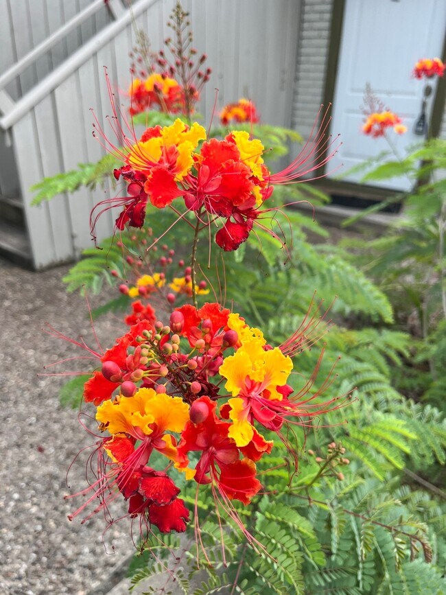 Foto del edificio - 1820 Avenue O 1/2