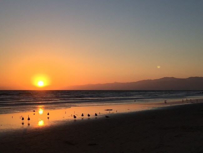 Tu playa - 33 Paloma Ave