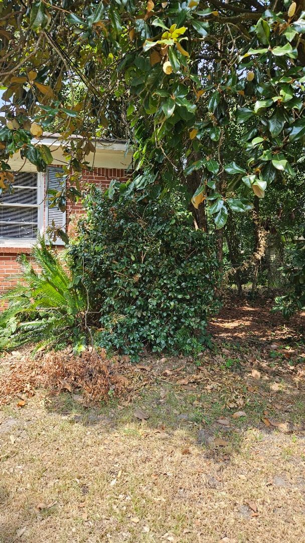 Building Photo - 3 bed 1 bath home
