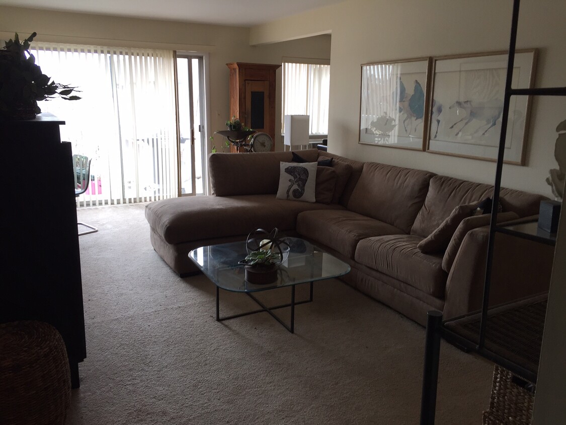 6-villa-verde-dr-unit-307-buffalo-grove-il-60089-condo-for-rent-in-buffalo-grove-il