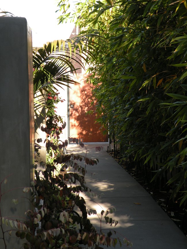 Inside Entrance - 205 Standard Street