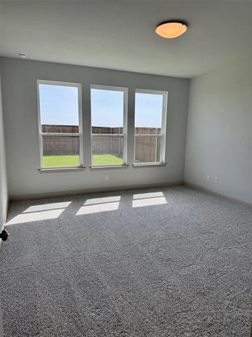 Building Photo - 3007 Camilli Cv