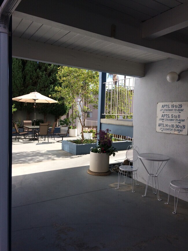 Common Patio - 609 Prospect Ave