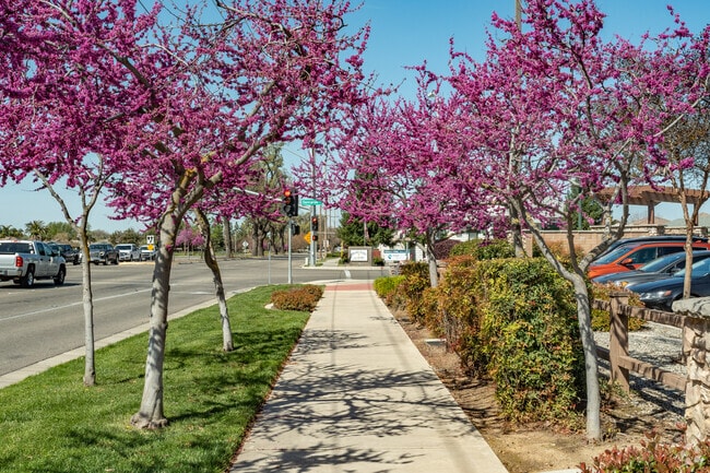 Tree-lined sidewalks run along the Southern border of Shannon Ranch.