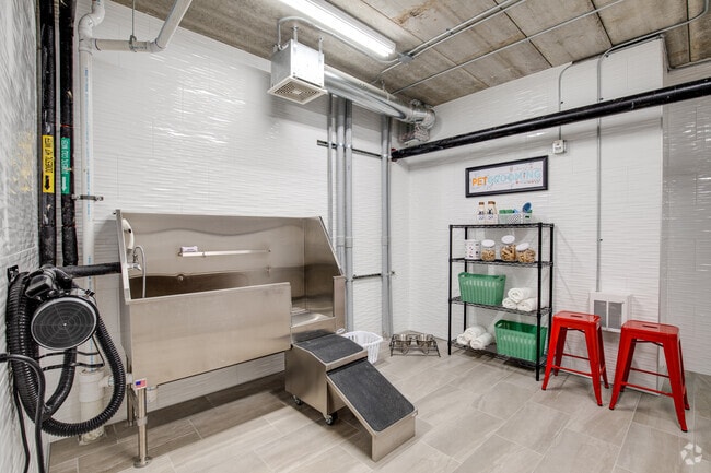 Pet Spa - Novo