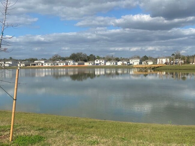 Foto del edificio - 5 bedroom 2.5 bath w Office, Cypress Hammo...