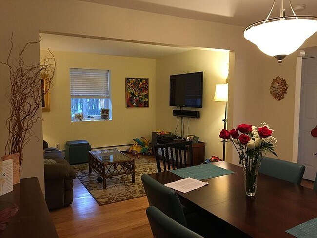 Living room - 34 Elk Rd