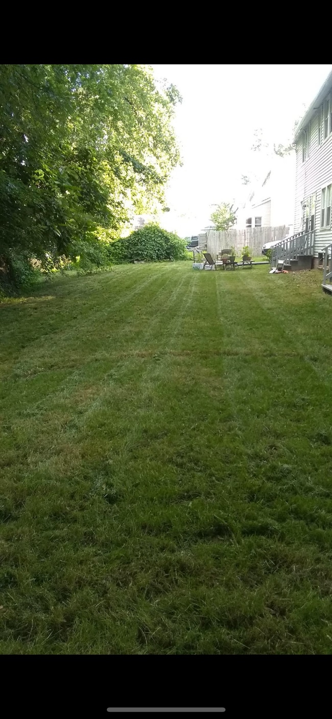 Backyard - 17 Berkeley St