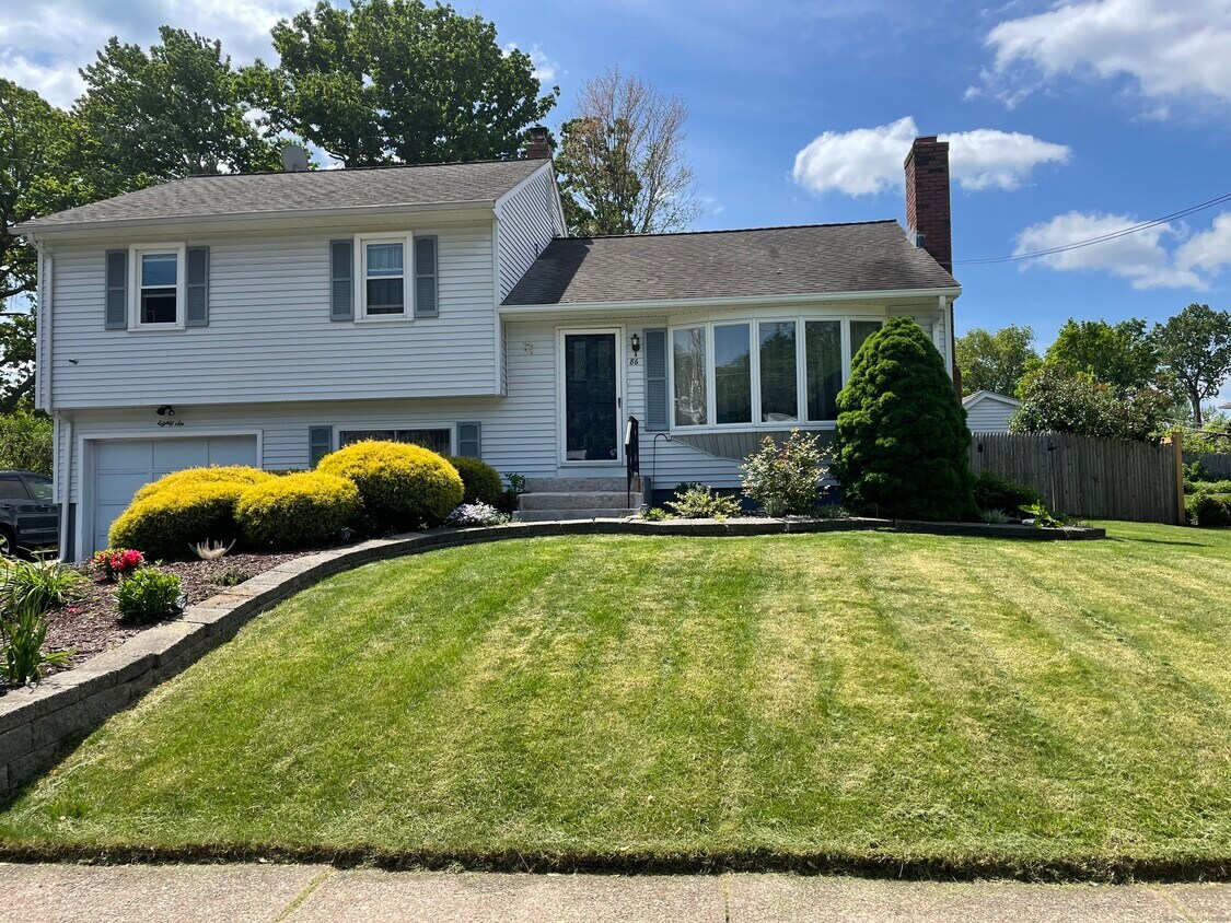 Primary Photo - 86 Bradley St