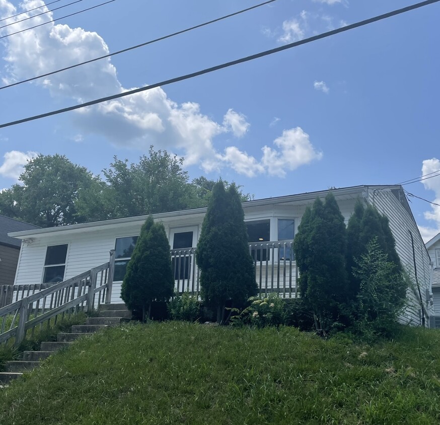 Primary Photo - 2 Amelia St