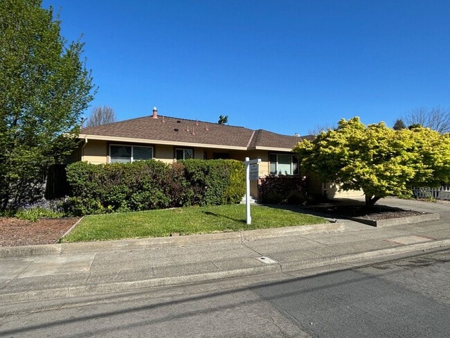 Building Photo - Updated Single level 3 bedroom 2 bathroom Bennett Valley Home with new paint and beautiful refini...