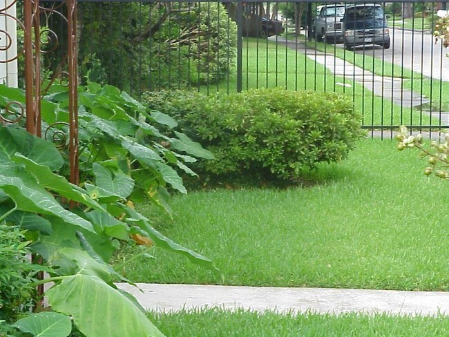 Foto del edificio - 1002 Key St