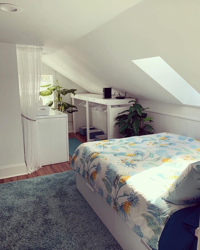 Imagen_0950 - 2519 Mcneill Cir