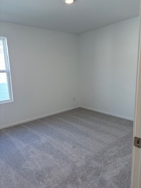 Foto del edificio - 1726 Lofty Cedar Ct