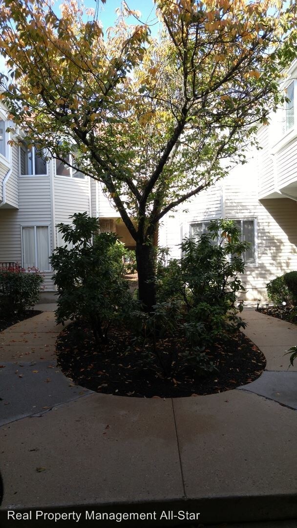 Foto del edificio - 3 br, 2.5 bath House - 1096 Schmidt Lane
