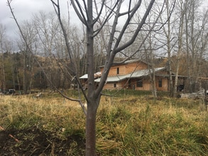 Building Photo - 1305 S Church Ave