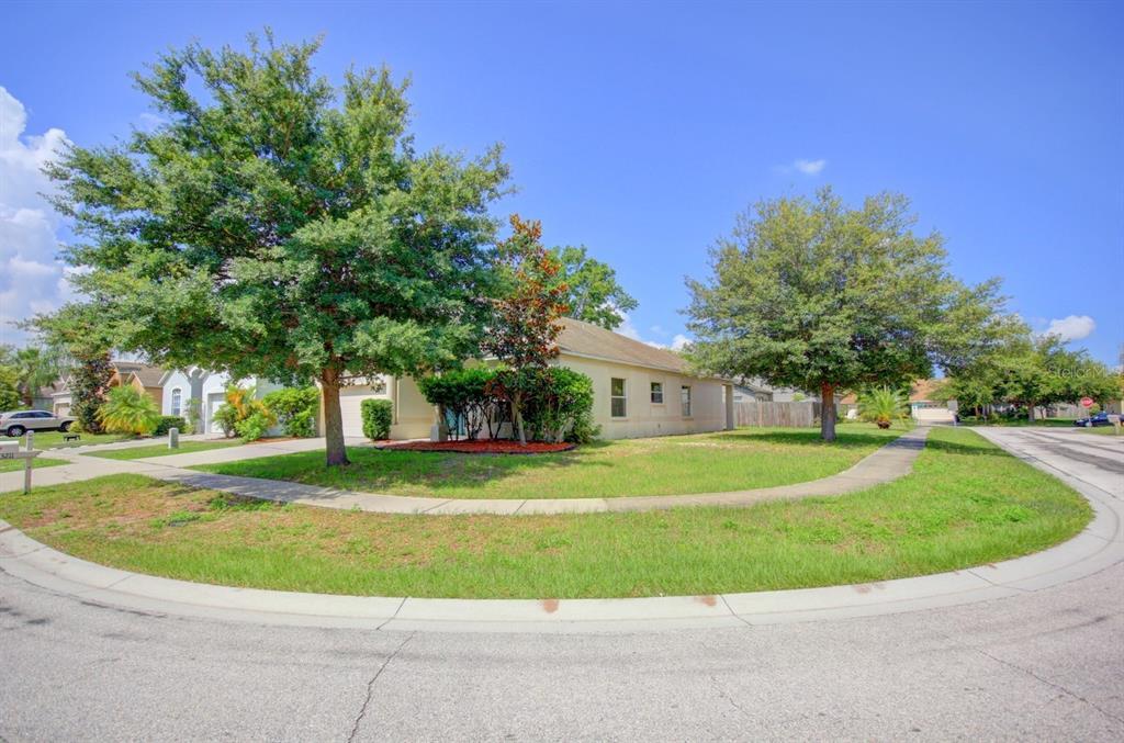 13211 Beechberry Dr, Riverview, FL 33579 House Rental in Riverview