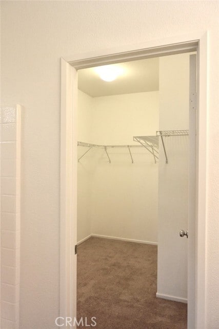 Building Photo - 3224 Thistlewood Ln