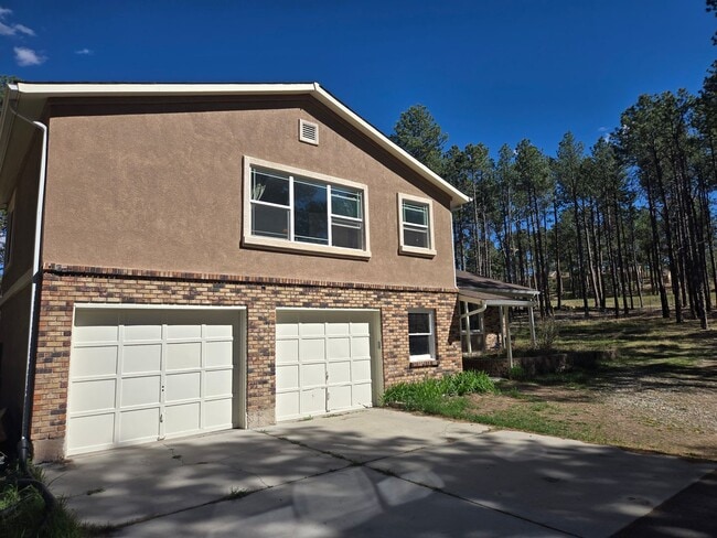 Building Photo - Colorado living in the trees of Black Forest