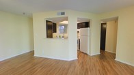 This single-floor residence offers a clean, functional layout designed for comfortable everyday living. The open-concept design connects the main living area to the kitchen, creating a seamless flow throughout the space. Light hardwood flooring extends across the living area, contributing warmth and continuity to the interior.

The kitchen is a standout feature, highlighted by dark cabinetry that provides a bold contrast against the light-colored walls. A pass-through window with a counter ledge opens from the kitchen into the living area, enhancing the sense of connectivity and making the space feel more expansive. The kitchen is equipped with full-sized appliances, including a white refrigerator and a range, and benefits from natural light streaming in through a window above the sink.

The walls throughout the space are painted in a soft, neutral yellow-white tone, creating a bright and airy ambiance. Ceiling-mounted HVAC vents are visible, ensuring year-round climate control. The arched passageway leading into the kitchen adds a subtle architectural detail that softens the overall aesthetic.

Overall, this residence presents a practical and inviting environment, with a neutral palette and thoughtful layout that offers a solid foundation for personalization.