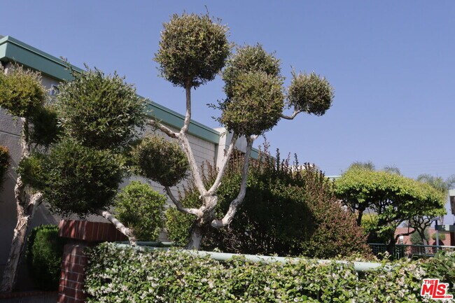 Foto del edificio - 5301 Balboa Blvd