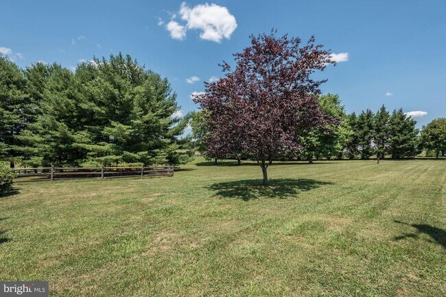 Foto del edificio - 41383 Springfield Ln