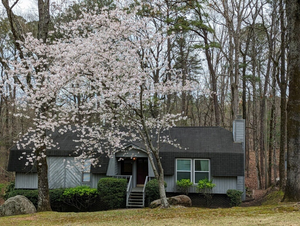 Spring Blooms! - 2456 Burgundy Dr