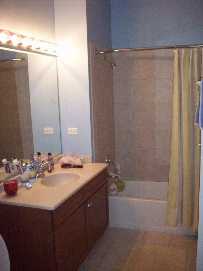 bathroom - 1351 S Halsted St