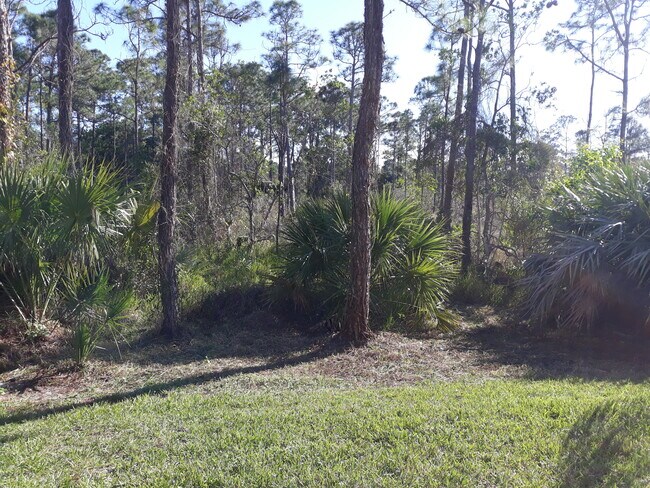 Preservar el patio trasero - 6078 SE Split Oak Trl