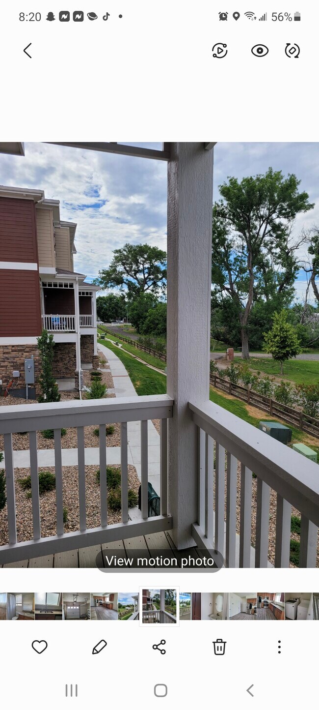 887 E 98th Ave, Thornton, CO 80229 Townhouse for Rent in Thornton, CO