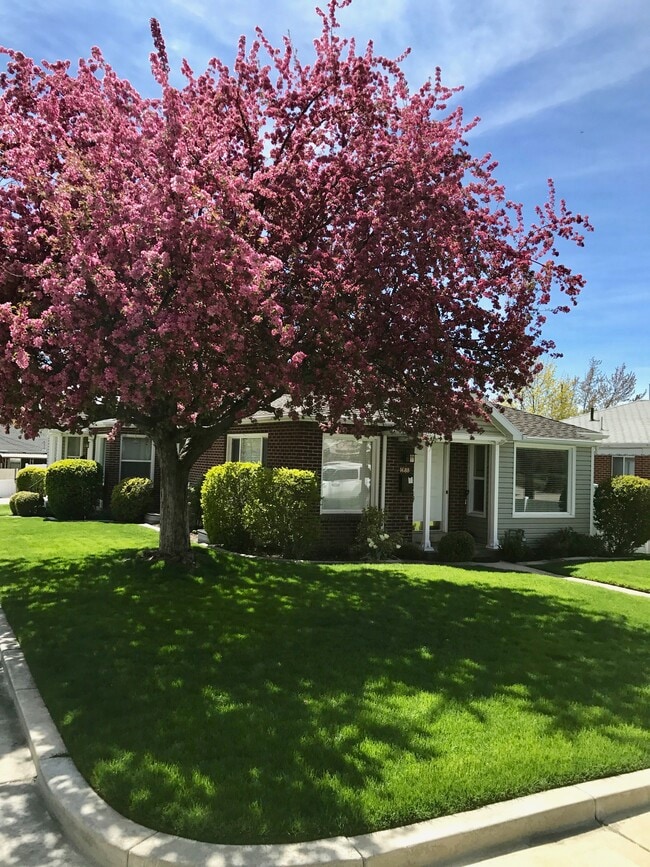 Foto del edificio - 1688 Blaine Ave