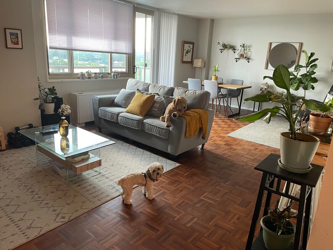 Living Room - 1 E University Pky
