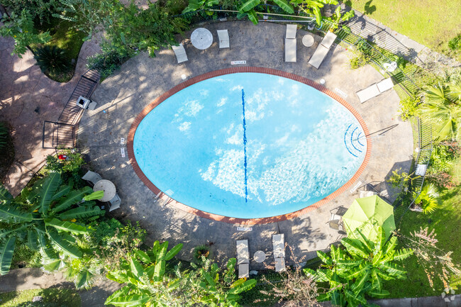 Area view of one of the pools - SunBlossom Woodlake