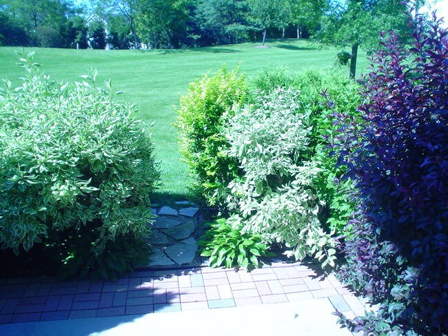 Foto del edificio - 226 Grandview Ct
