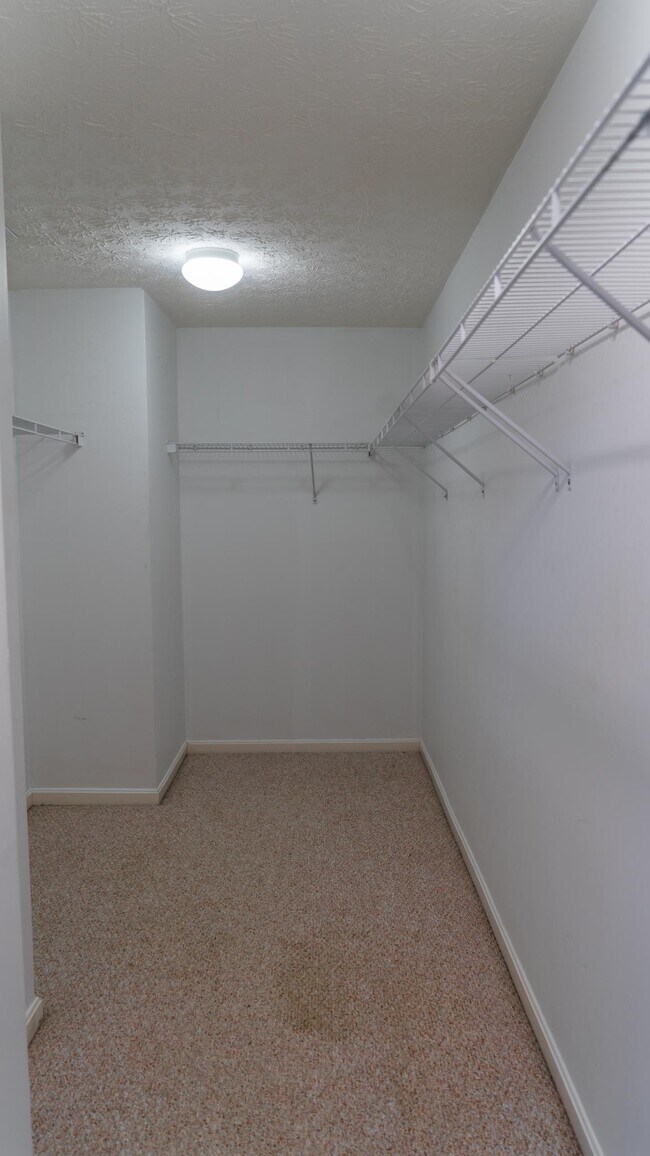 Foto del edificio - 17523 Curry Branch Rd