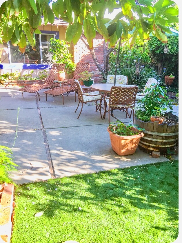 Shared Yard - 433 E 6th Ave