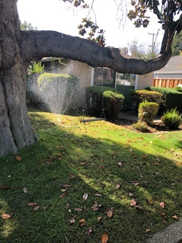 Foto del edificio - 275 Tyrella Ave