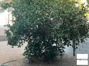 Building Photo - 6820 E Avalon Dr