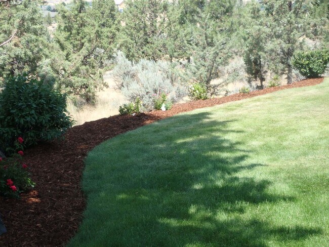 Foto del edificio - Executive Suite/Vacation/Short Term Rental 30-90 days