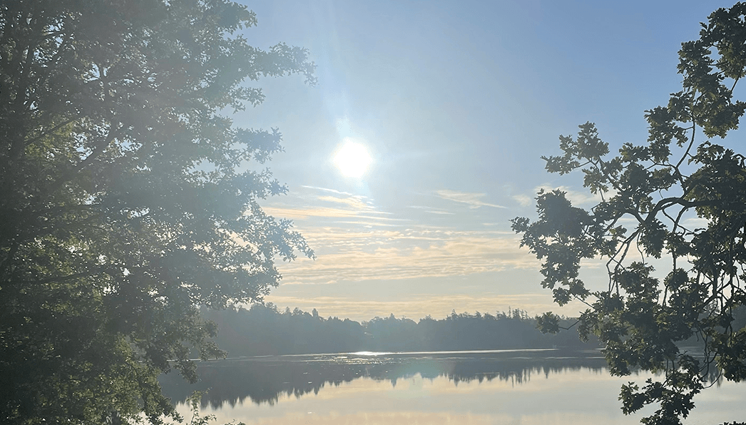 Primary Photo - Christie Point