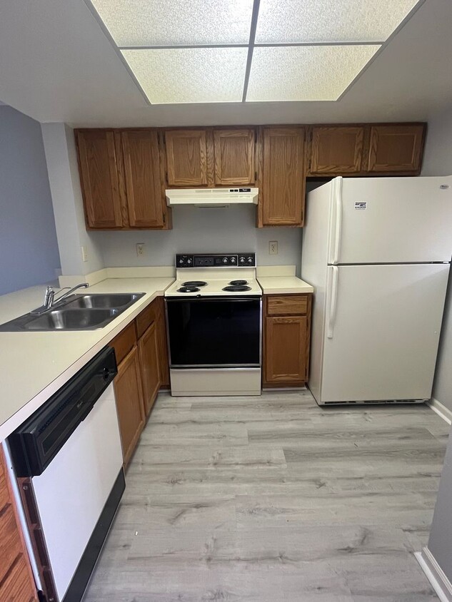 Primary Photo - Tradewinds I Unit 2405