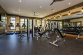Located at 810 Tapestry Way in Knoxville, Tennessee, this fitness center is a comprehensively appointed facility designed to support a full range of workout routines. The space is finished with durable rubberized flooring throughout, warm neutral-toned walls accented with contrasting dark trim, and recessed lighting complemented by ceiling fans that maintain a comfortable environment during exercise.

The facility is organized into distinct workout zones. A dedicated cycling area features a row of stationary spin bikes positioned beneath large windows that invite generous natural light and views of the surrounding greenery. Full-length mirrored panels line one wall, enhancing the sense of space and allowing users to monitor their form. An adjacent cardio zone houses multiple treadmills, elliptical machines, and a recumbent bike, all positioned to face outward-facing windows with outdoor views.

The strength training area is well-stocked with cable machines, weight benches, and selectorized equipment, alongside a wall-mounted flat-screen television. A functional training column and a selection of medicine balls and stability equipment add versatility to the workout offerings. The entry area features mirrored walls and glass-paneled doors, creating a bright and welcoming transition into the facility. Additional doors provide convenient access to and from the surrounding community.