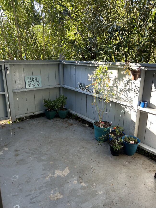 Downstairs patio off kitchen and living room. - 2 Quail Ridge Dr