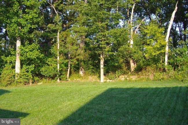 Building Photo - 5147 New Stead Ct
