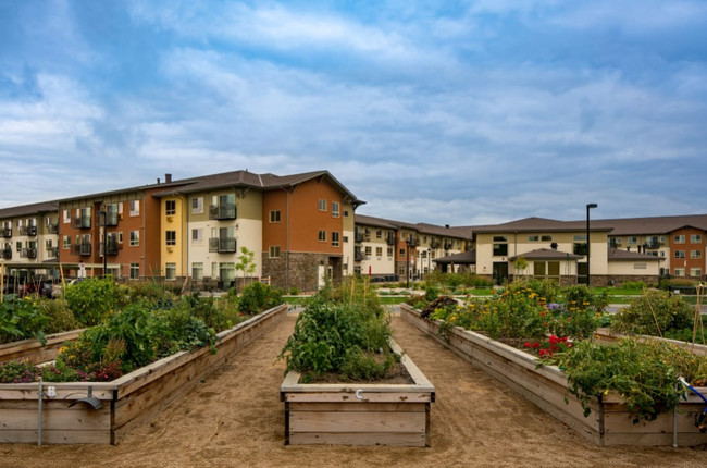 Affinity Apartments In Puyallup