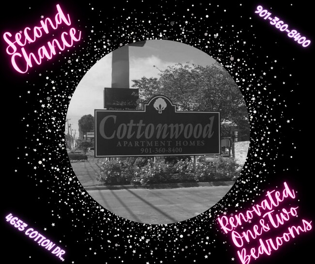 1 & 2 BEDROOMS - IMMEDIATE MOVE IN - 2850 Cottonway St