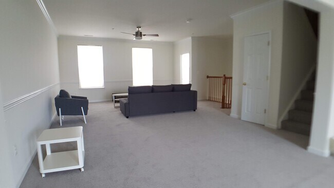 Huge family/living space - 1011 Granby St