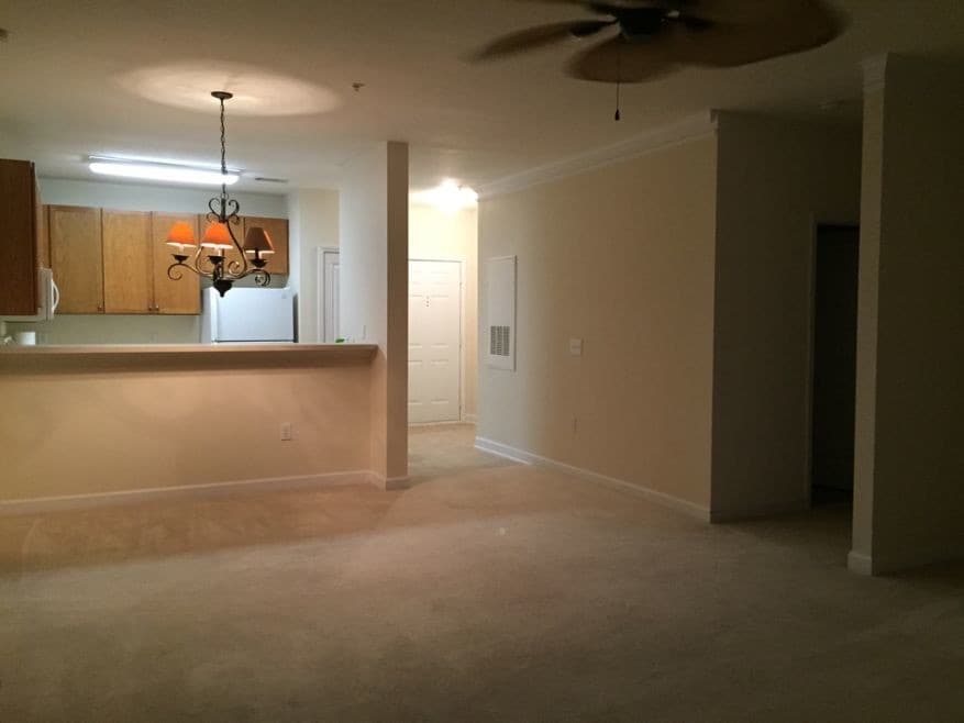 Living Rm/ Kitchen area - 250 S Crow Creek Dr