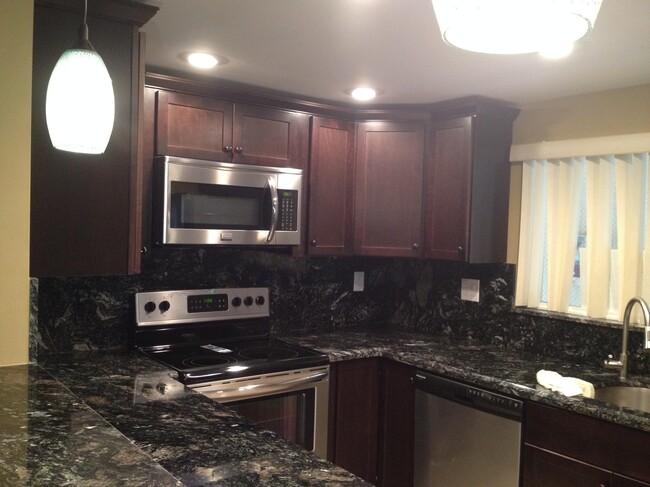granite kitchen with SS appliances - 123 Deer Creek Blvd