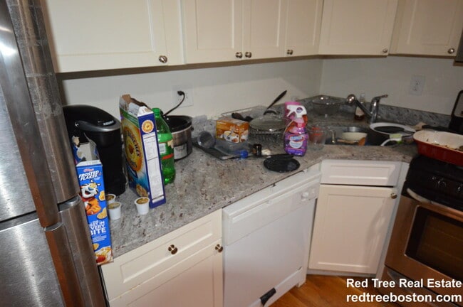 Photo - 62 Egmont St Apartment